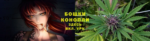 СК Дедовск